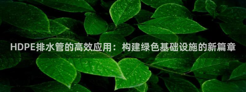 威九国际小广告