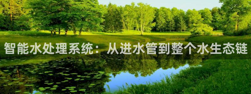 威九国际取款不到账