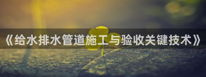 威九国际新人白发