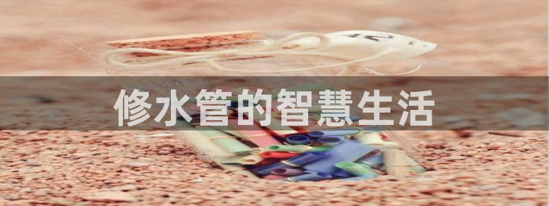 威九国际H