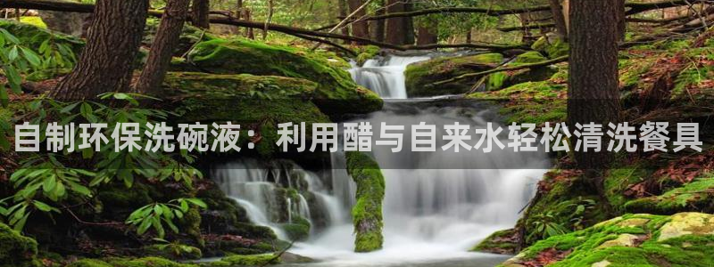 威九国际网站更新