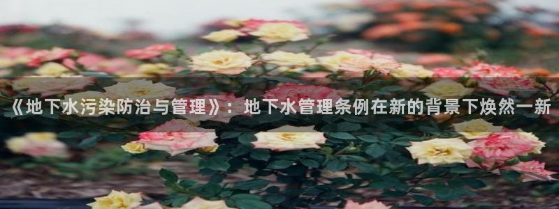 威九国际留学