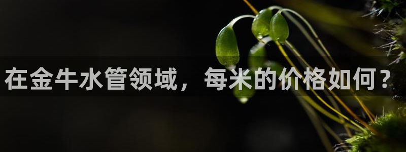 78mapp威九国际成长视频