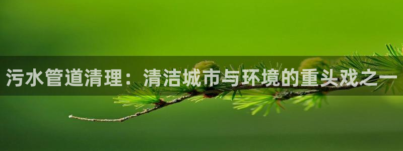 威九国际官方网站