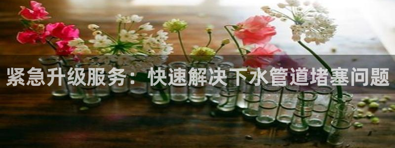威九国际黄威尼斯
