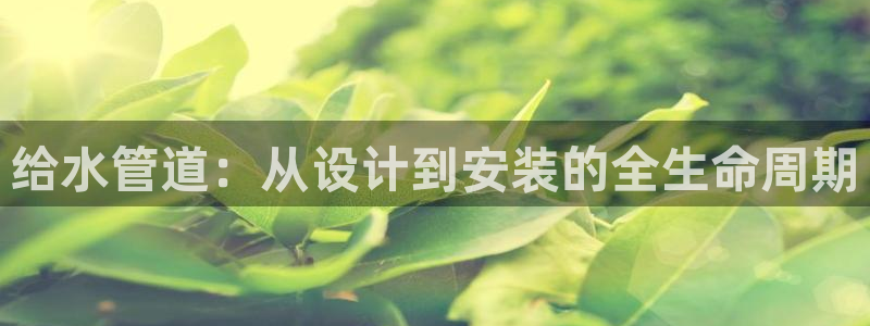 威九国际app客服电话号码