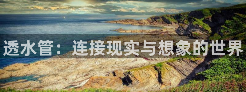 威九国际成长模式