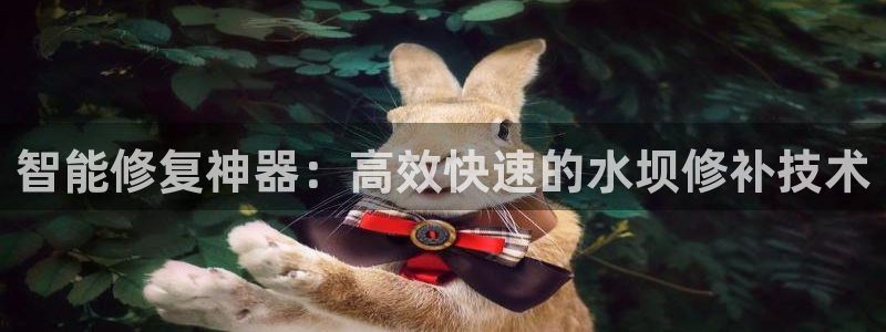 威九国际免费ppt网址