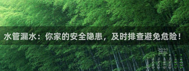 威九国际娜娜