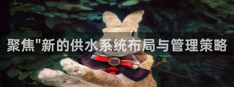 78mapp威九国际媒体央视