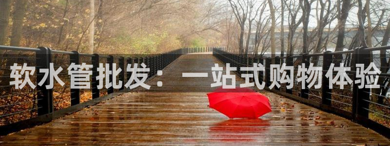 威九国际网站进入客服中心怎么退出
