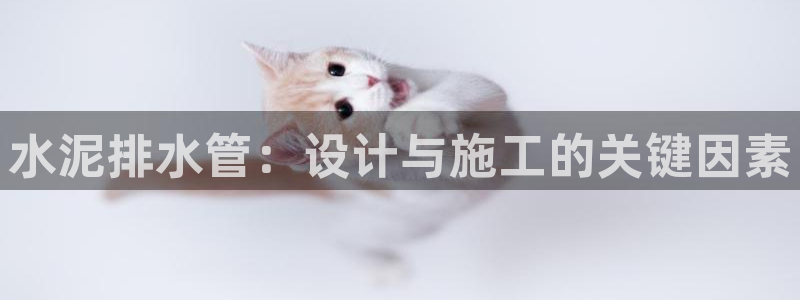 威九国际和之前