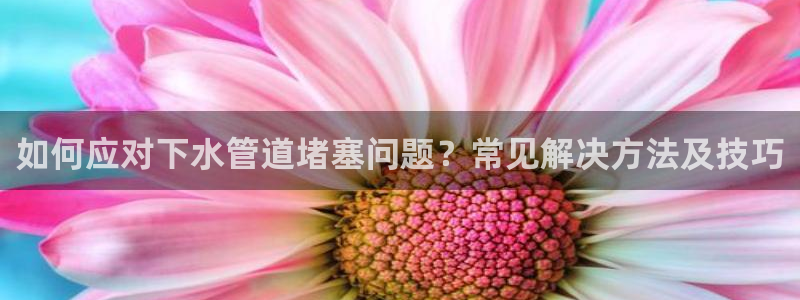 威九国际v96bet官网版