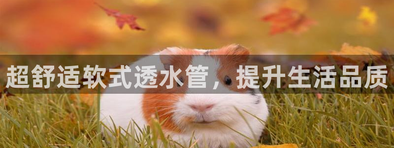 威九国际可以退钱吗怎么退的