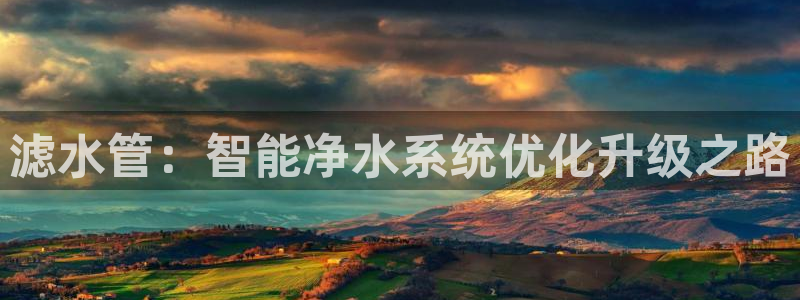 威九国际体育