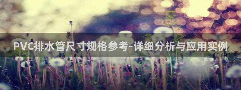 威九国际app网站安全吗
