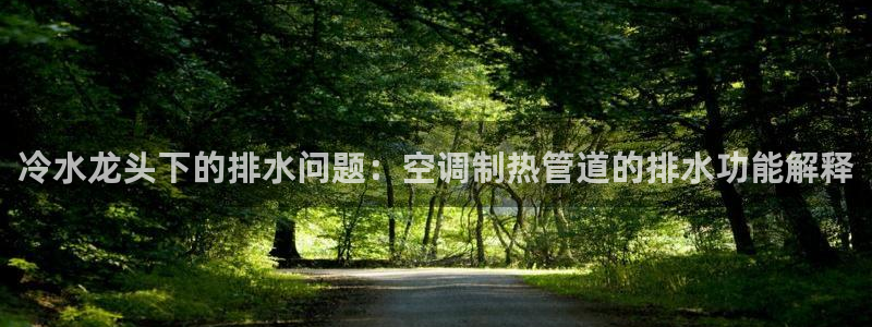 威九国际游戏网站