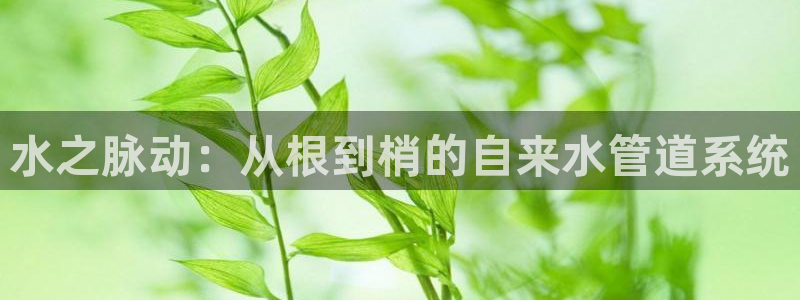 威九国际女演员名单介绍