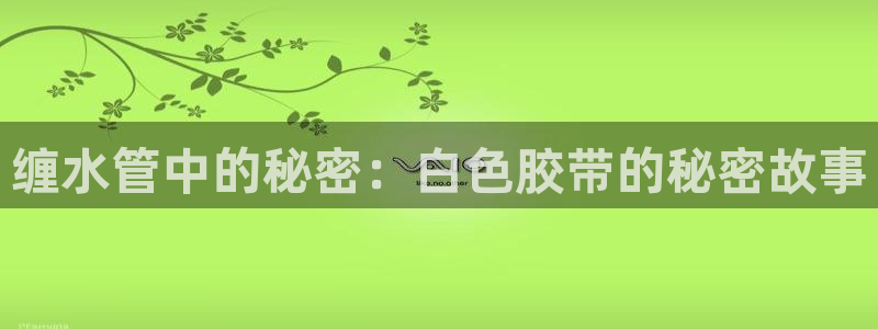 威九国际演员表
