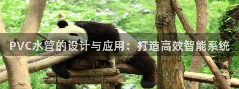 威九国际在线平台怎么样啊