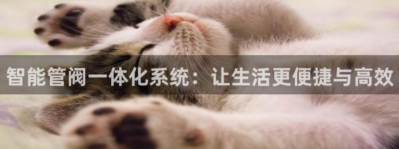 威九国际女艺人