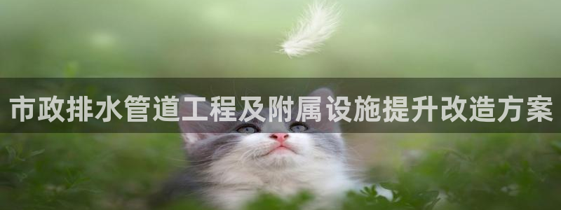 威九国际在线平台怎么样啊