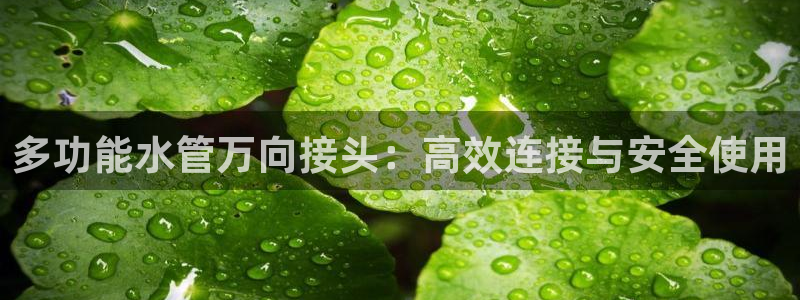 威九国际真人游戏