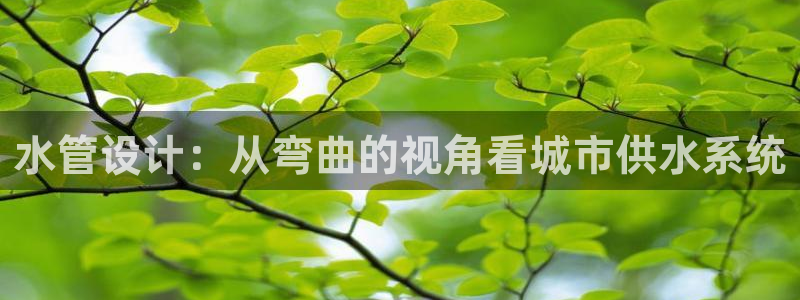 威九国际78mob官网版