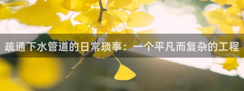 78mapp威九国际媒体央视