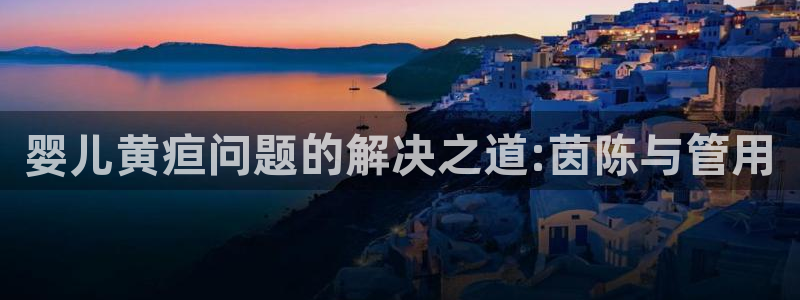 威九国际空降服务女演员叫什么名字