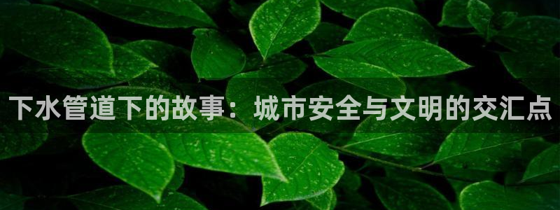 威九国际网站进入产品分类