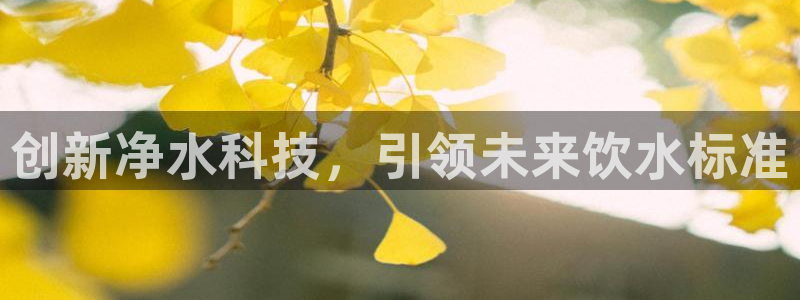 威九国际可以赚到钱