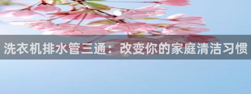 威九国际APP大全