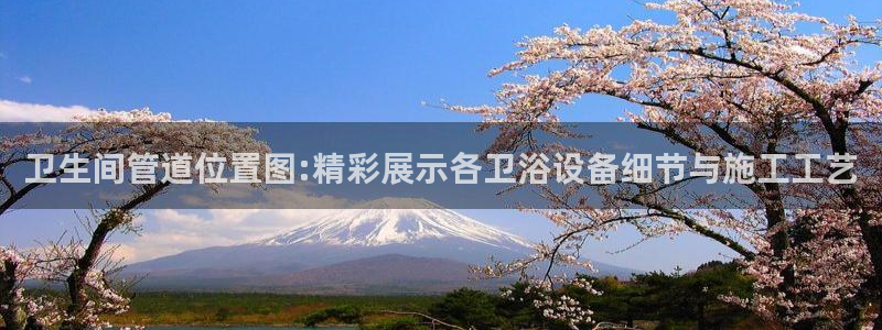 威九国际客服电话号码查询