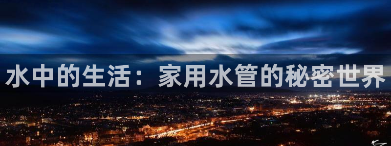 威九国际网站传媒招聘