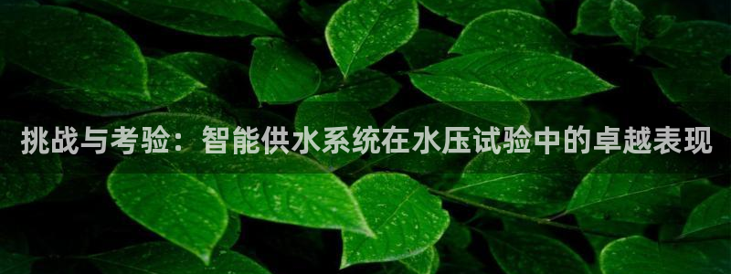威九国际官网在线进入网站查询