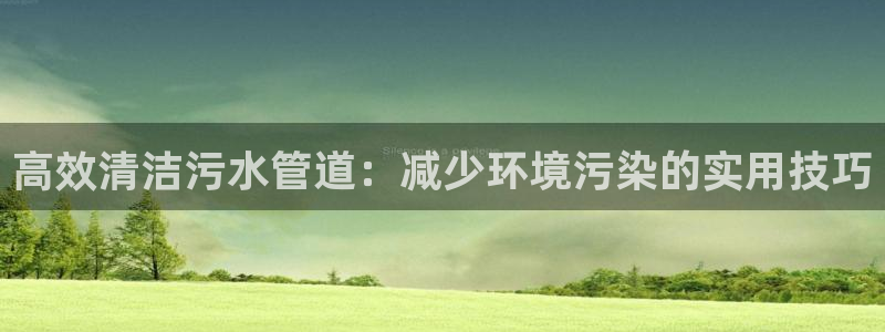 威九国际top