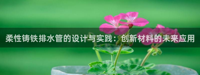 威九国际66m入口