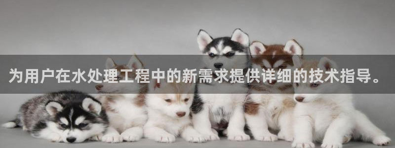 威九国际安全吗的认证团队