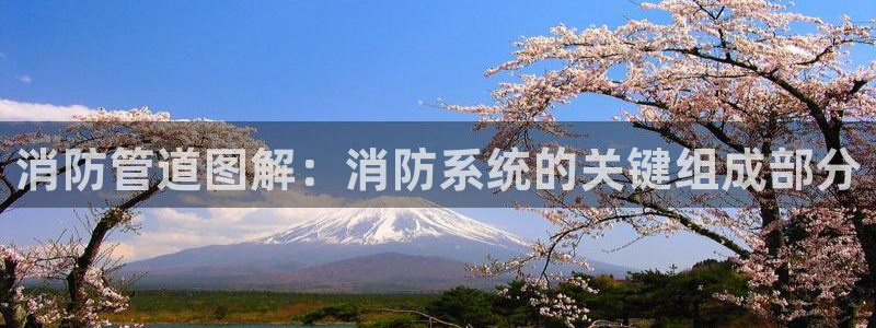 威九国际78mB官网版