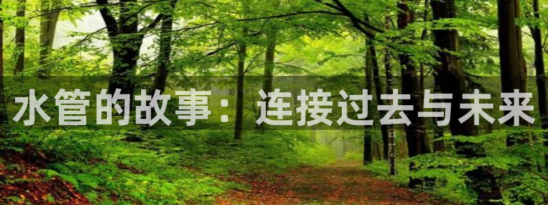 威九国际78mob网页