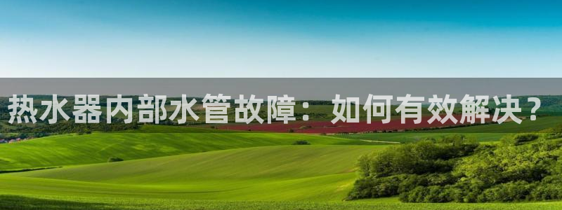 威九国际官网登录入口网站