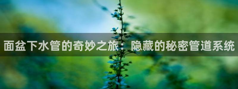 威九国际网站客服电话多少号