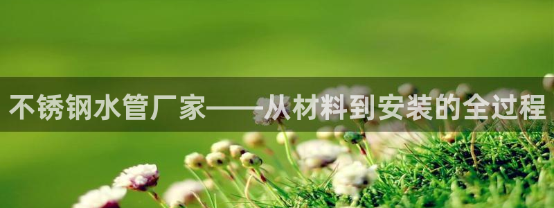 威九国际m78