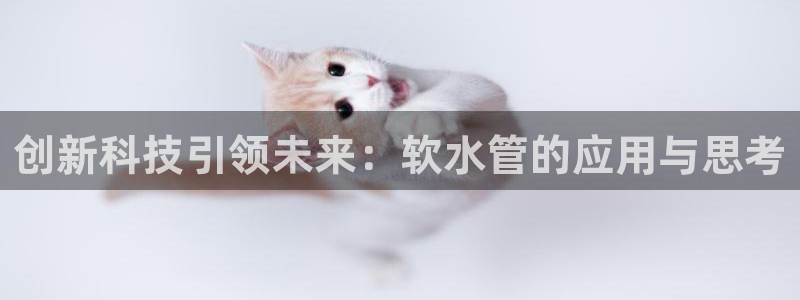 威九国际com