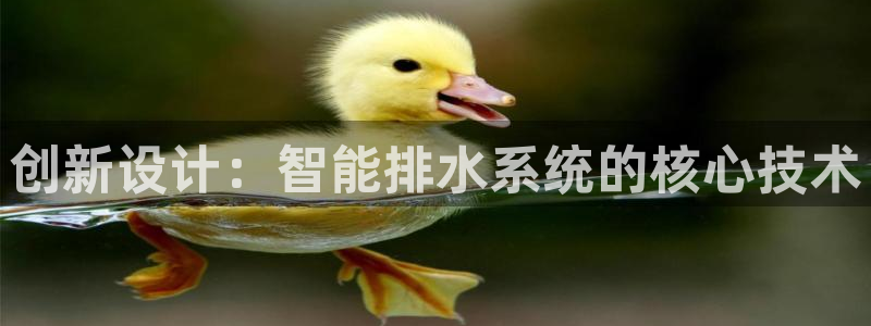 威九国际HP