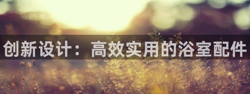 保定威九网络科技有限公司