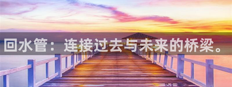 威九国际v96bet下载