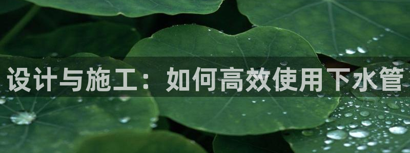 威九国际狂飚电影