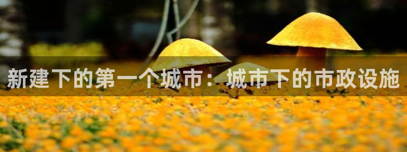 威九国际78mb玩法